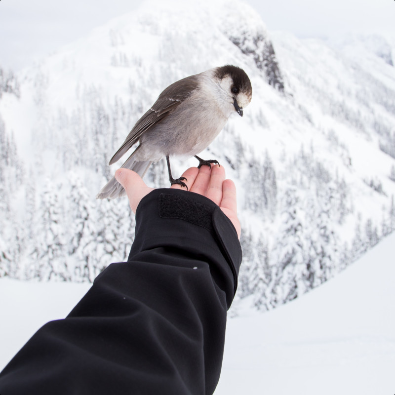 Biovibralyon Mieux-être et bio-réinformations quantique en région lyonnaise pour retrouver sérénité, confiance et liberté