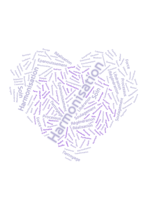 Mots clés correspondants aux Harmonisations énergétiques par Biovibralyon
