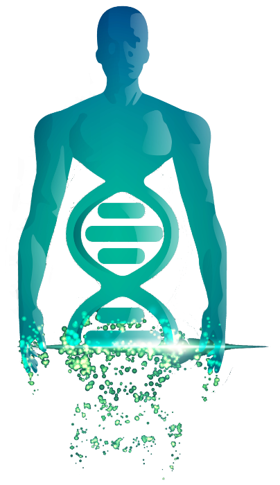 Illustration Homme-Chromosome