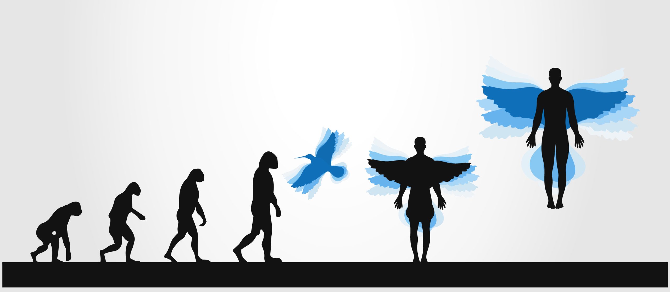 Illustration évolution de l'Humain